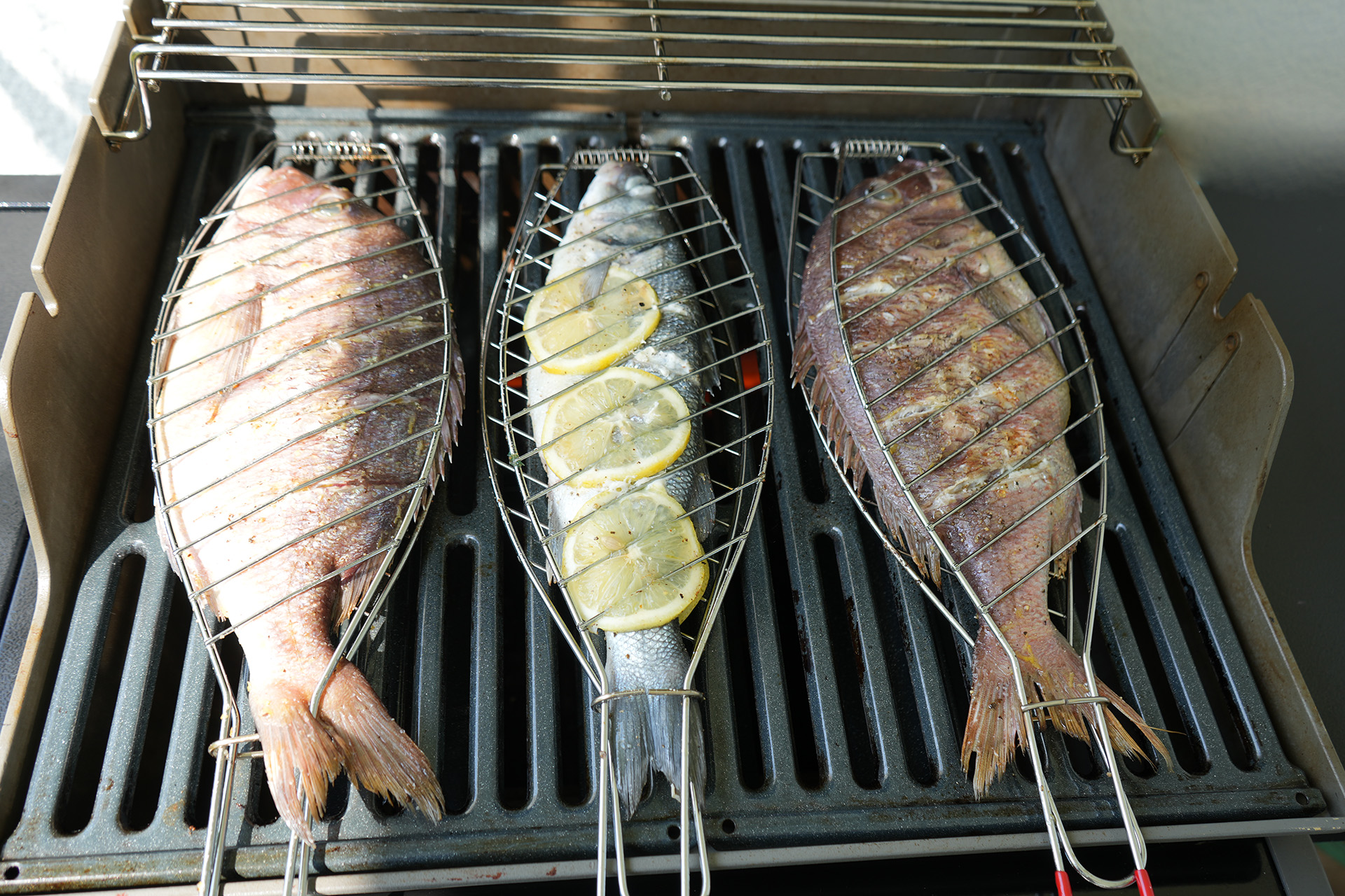 Dorado auf dem Grill